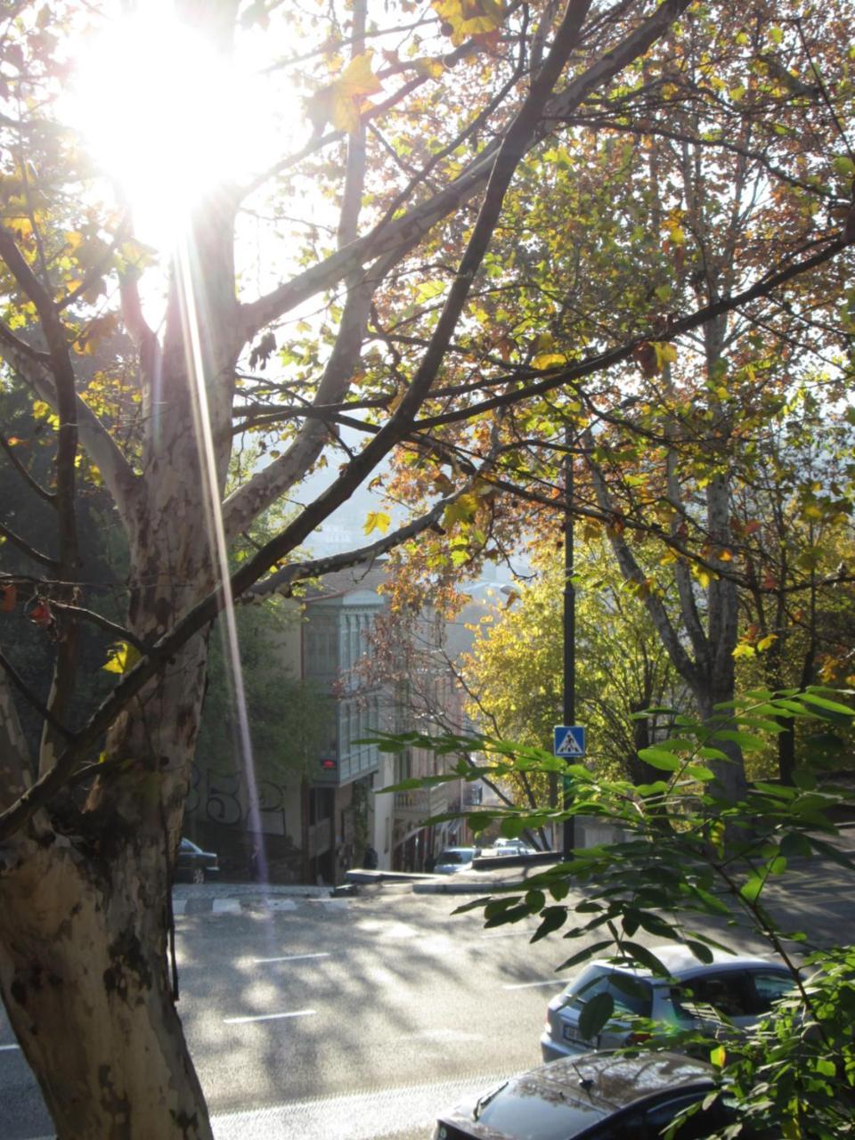 Apartment Oxalis Tbilisi Zewnętrze zdjęcie