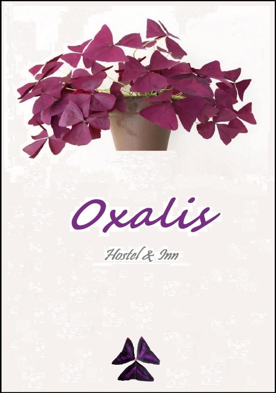 Apartment Oxalis Tbilisi Zewnętrze zdjęcie